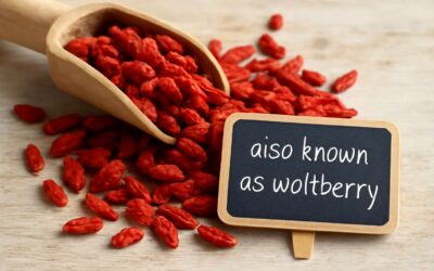 Exploring other names for goji berries: wolfberries, gou qi, and more.