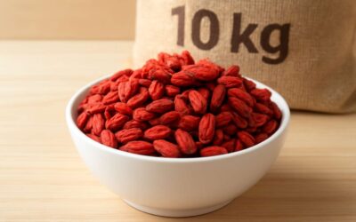 Brighten Your Wellness Routine with goji berries 10kg – Premium, Juicy Superfruit
