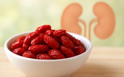 Boost your wellness with goji berries for kidney health and support your kidneys naturally